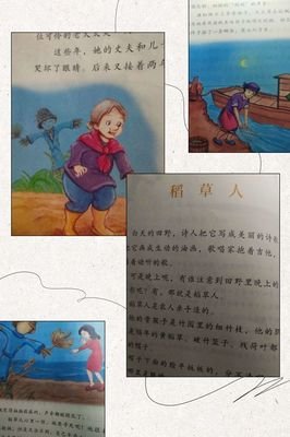 《午夜阳光》的读后感大全