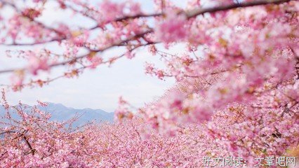 迷人佳句优美的句子