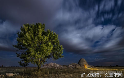 经典句子大全