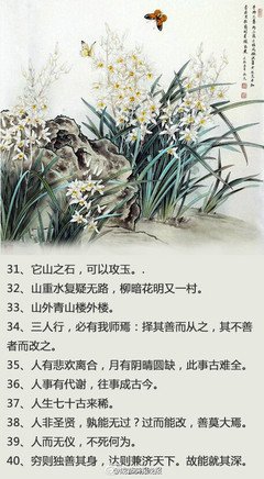 古文美句句子大全