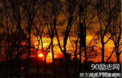 妙句优美的句子