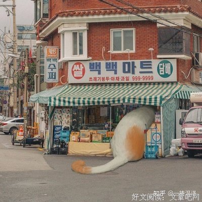 有关感受的句子