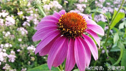 深更半夜经典的句子