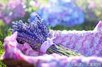 随风似风优美的句子