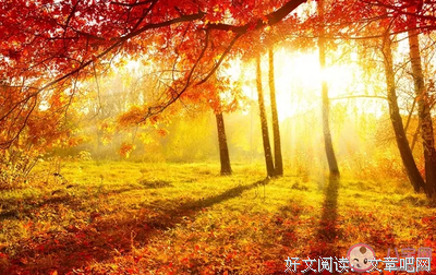 关于念的句子