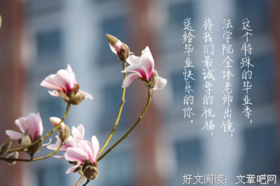 雨怜依依的名言