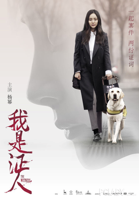 最新的《我是证人》经典句子
