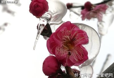 最新的《我的四季》美文美句大全