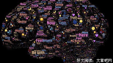 《蜥蜴脑法则》读后感100字