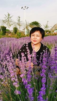 《生活的哲学》经典读后感有感