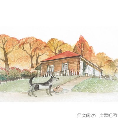 《冰河》读后感1000字