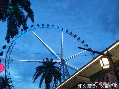 《愿所有的姑娘都能嫁给爱情》读后感1000字