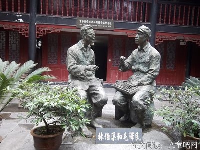《最后一站》的观后感大全