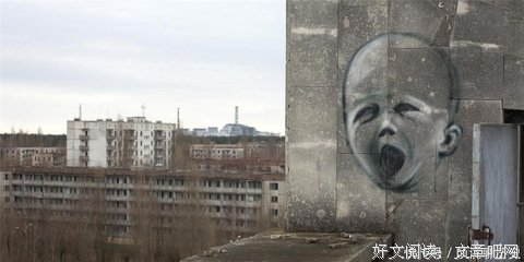 《我的废墟生活》经典影评集
