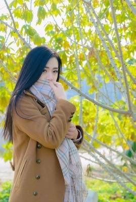 《随心》的句子