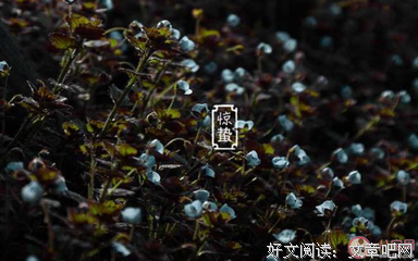 万物有数岁内得声，爱恨大他由。句子大全