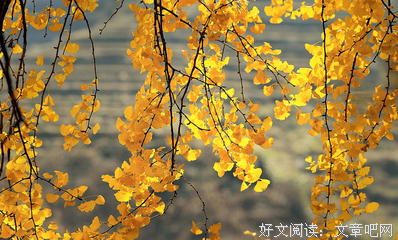 关于唯美的优美句子