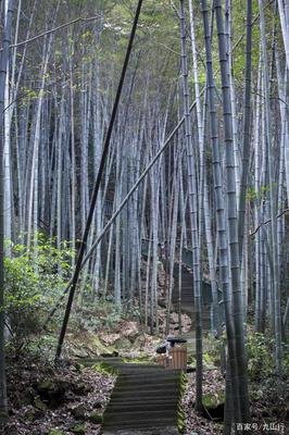 青城，炊烟名句欣赏