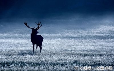 曾经的傻逼经典的句子