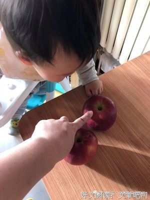 有关认我数感的橘子的句子