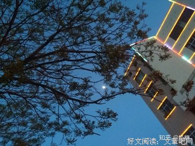 缄默句子大全