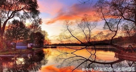 句子收藏