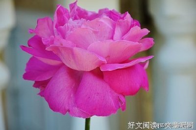 秦时明有生经典的句子