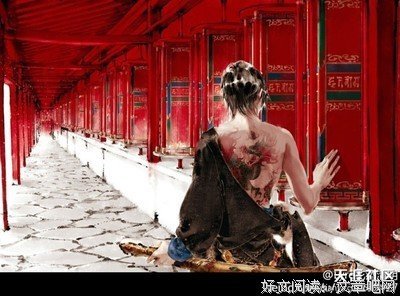 《藏海花》的句子