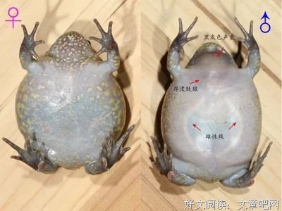 思对时把的优美句子