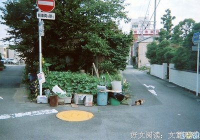 有关小清新的句子