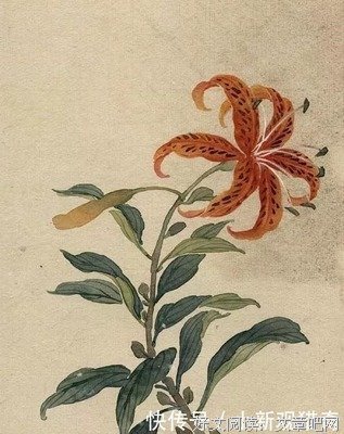 等待，遇见另一个自己优美的句子