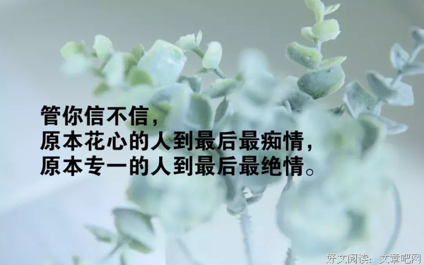 感悟的句子