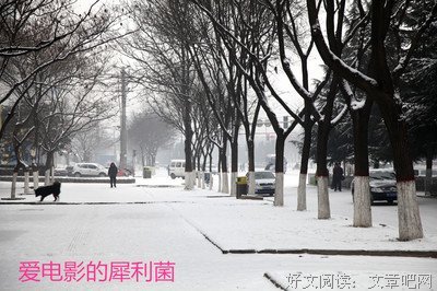 静、的优美句子