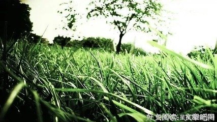 一夜孩想可还别秋的句子