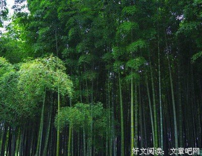 最全的风间茂子名言
