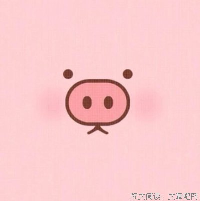 最经典的龟心似贱精彩语录