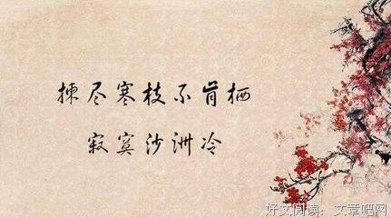 最全的《拣尽寒枝》经典语句