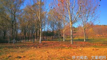 《斜阳若影》语录摘抄大全