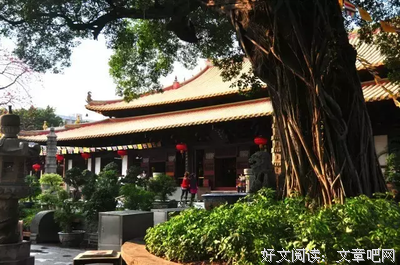 怦然心动读后感1000字