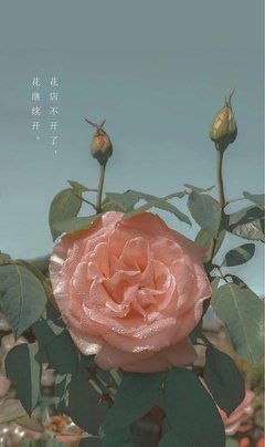 梦想开始了，就别停下来的读后感大全