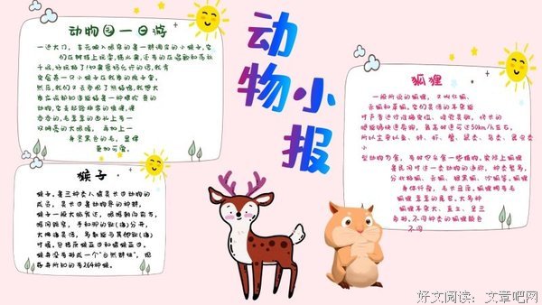 《废墟的花朵》读后感精选