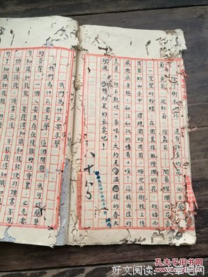 《民国商人》读后感精选