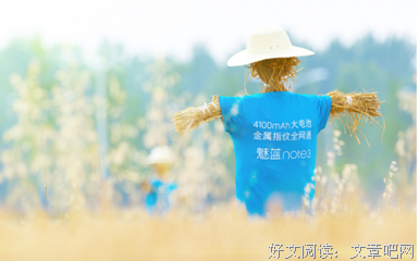 脑洞W读后感精选