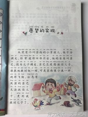 爱是唯一的真相读后感精选