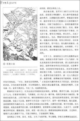 从陈桥到厓山经典读后感有感