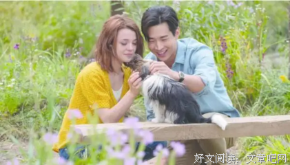 《狗的难题》经典观后感1000字