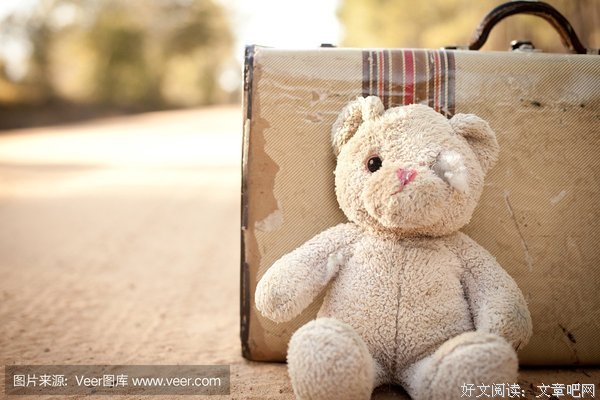 《迷路的小熊》读后感摘抄