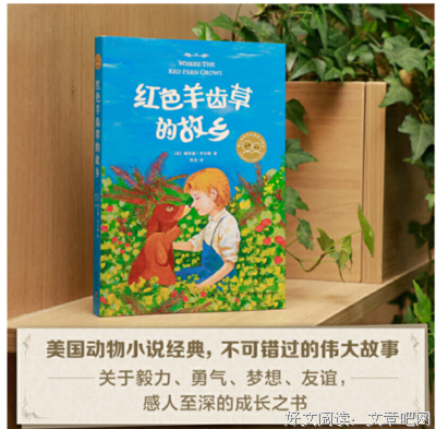 《红色羊齿草的故乡》好看吗？经典影评锦集