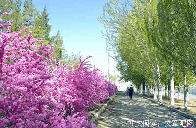 百花齐放的句子