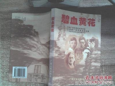 《碧血黄花》观后感100字